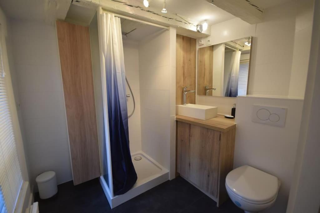 Le Studio Du Quai Des Pecheurs - Charmant Duplex Sur Les Quais 스트라스부르 외부 사진