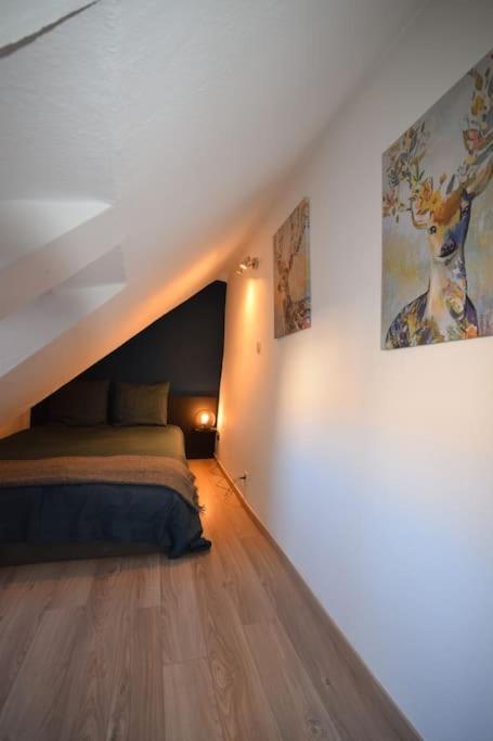 Le Studio Du Quai Des Pecheurs - Charmant Duplex Sur Les Quais 스트라스부르 외부 사진