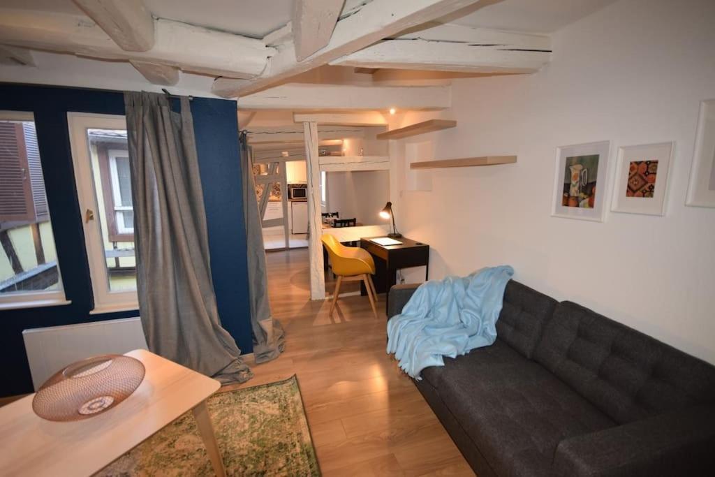 Le Studio Du Quai Des Pecheurs - Charmant Duplex Sur Les Quais 스트라스부르 외부 사진