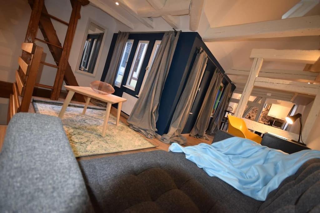 Le Studio Du Quai Des Pecheurs - Charmant Duplex Sur Les Quais 스트라스부르 외부 사진