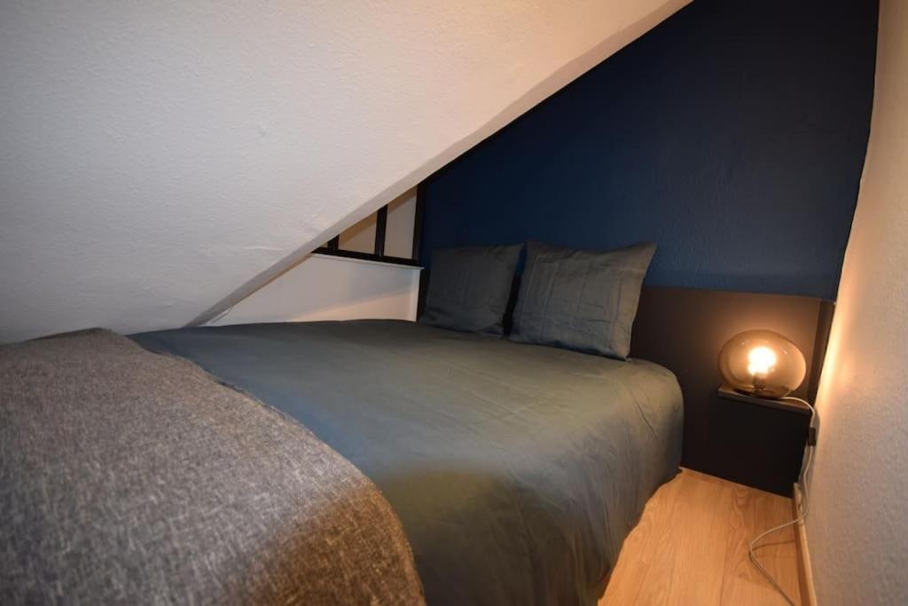 Le Studio Du Quai Des Pecheurs - Charmant Duplex Sur Les Quais 스트라스부르 외부 사진